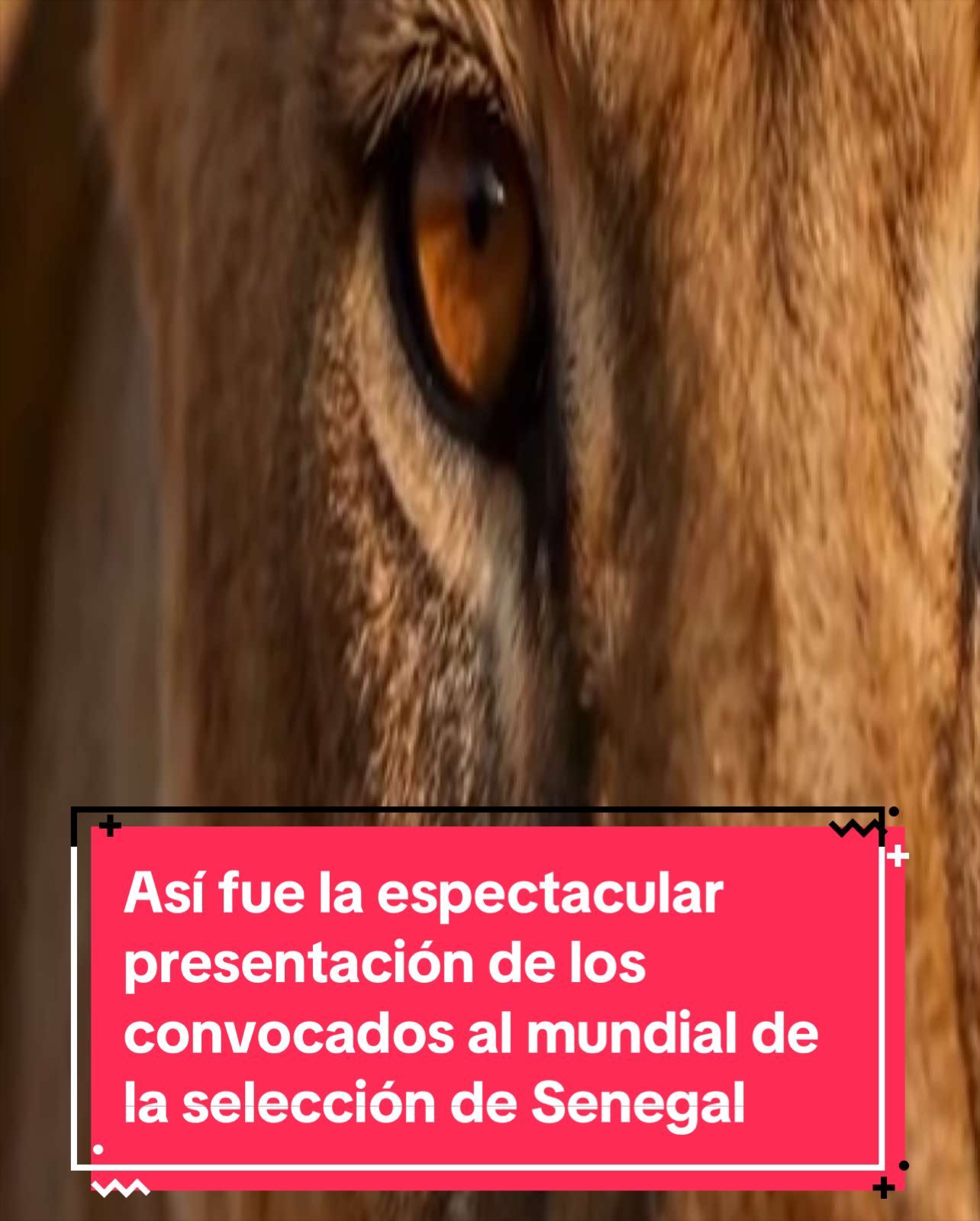 @radarkapitalnews