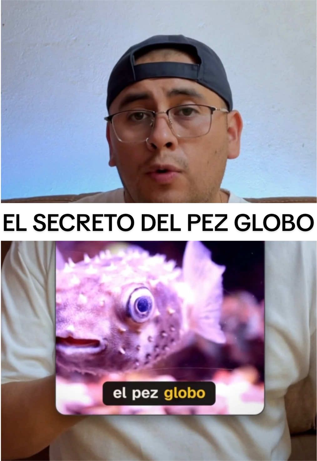 @1DatoShot