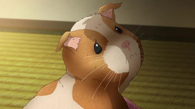 @閃亮哥燕曦之子