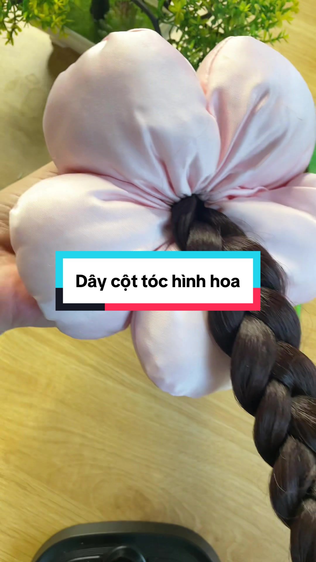 @C&ocirc; g&aacute;i họ Đinh
