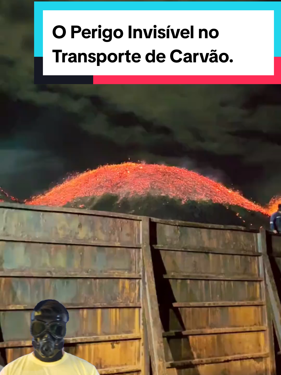 @Mundo da Curiosidades