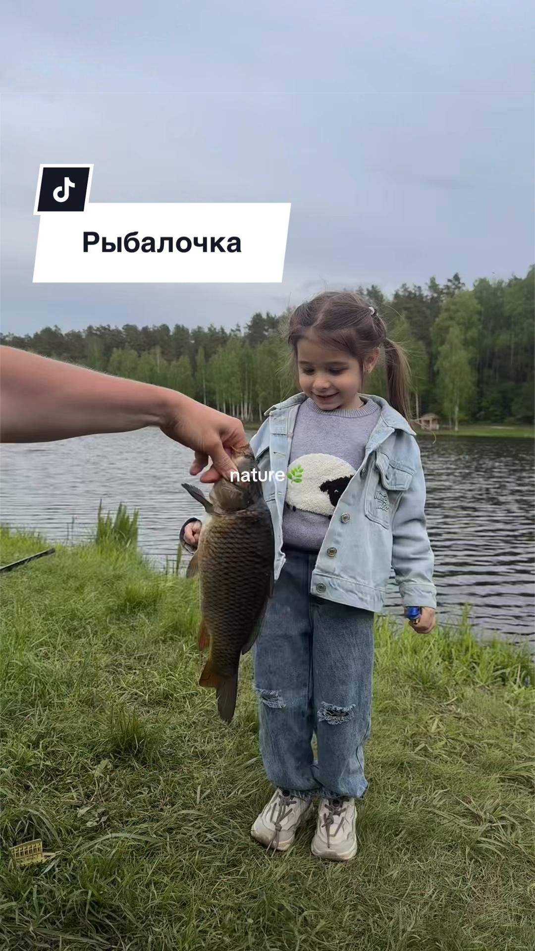 @Shachekeva