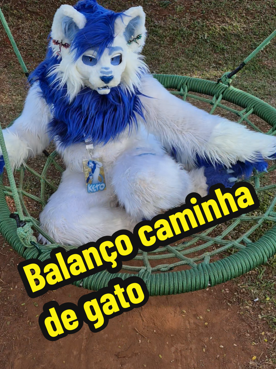 @Keto the cat