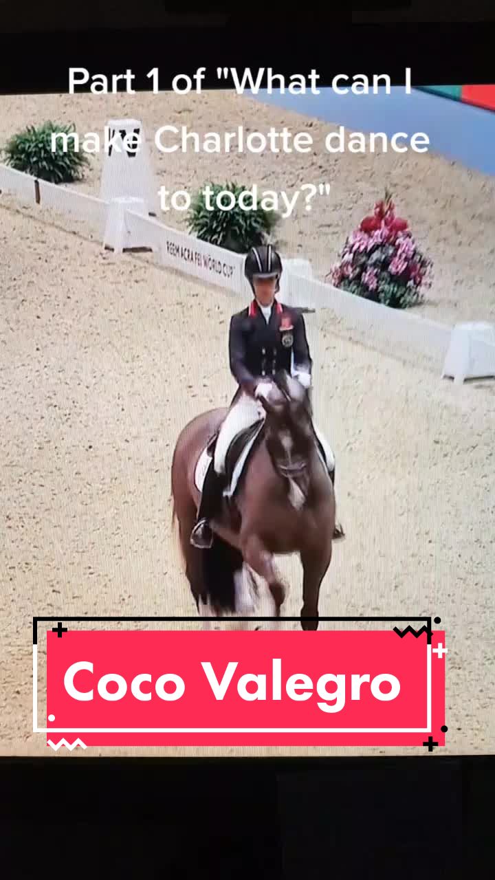 @Artline Dressage