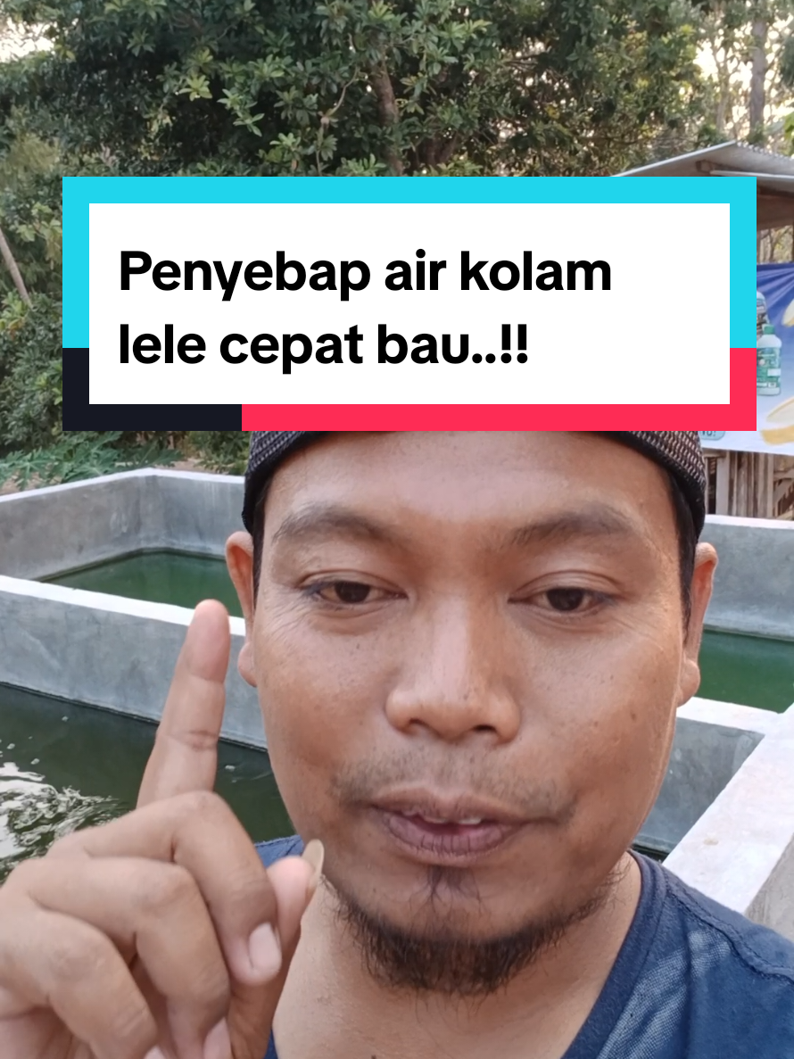 @Kang_Ewi