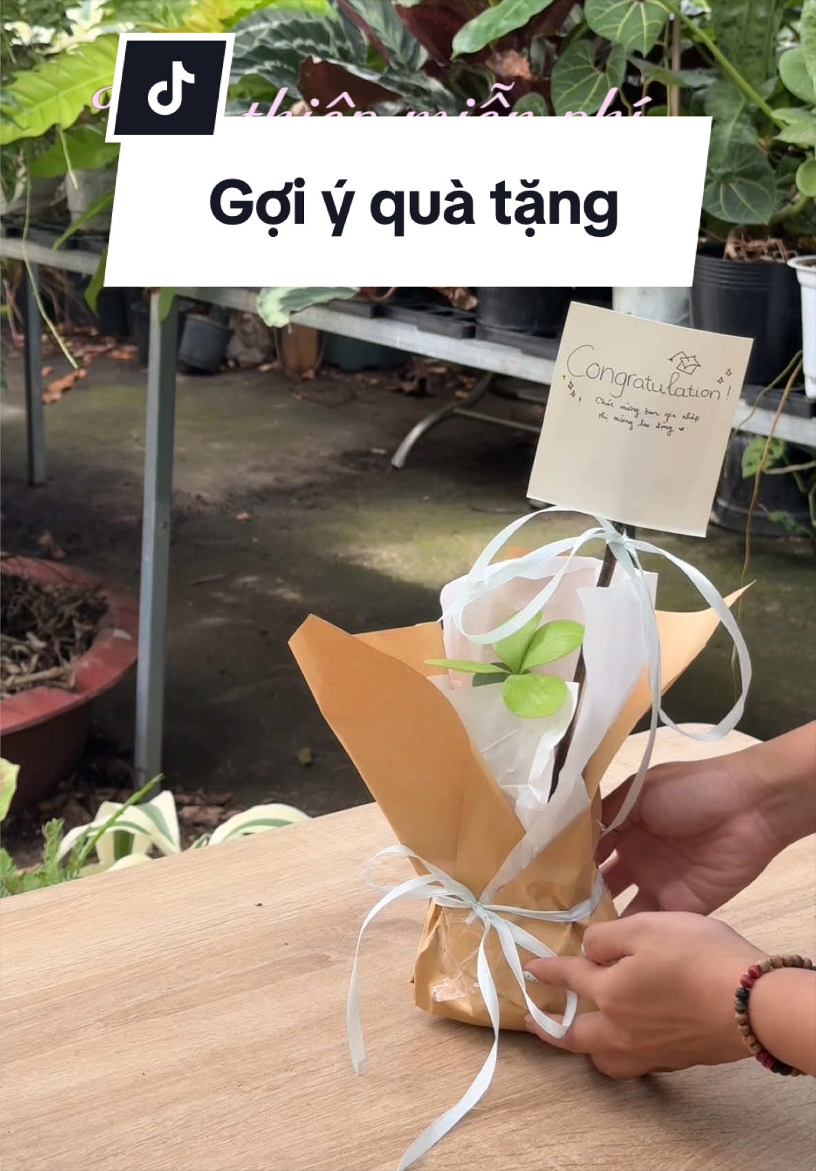 @Vuoncuakien