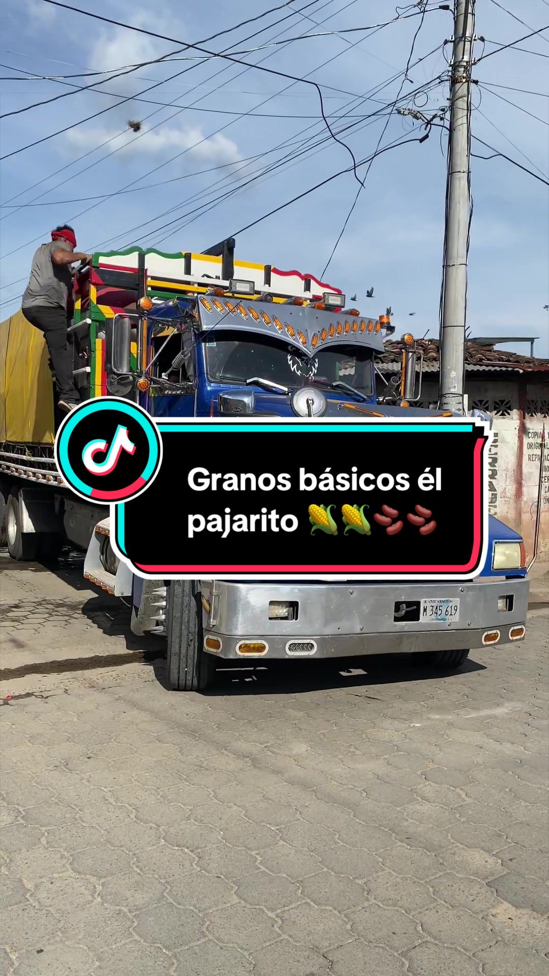 @Granos básicos él pajarito 🌽