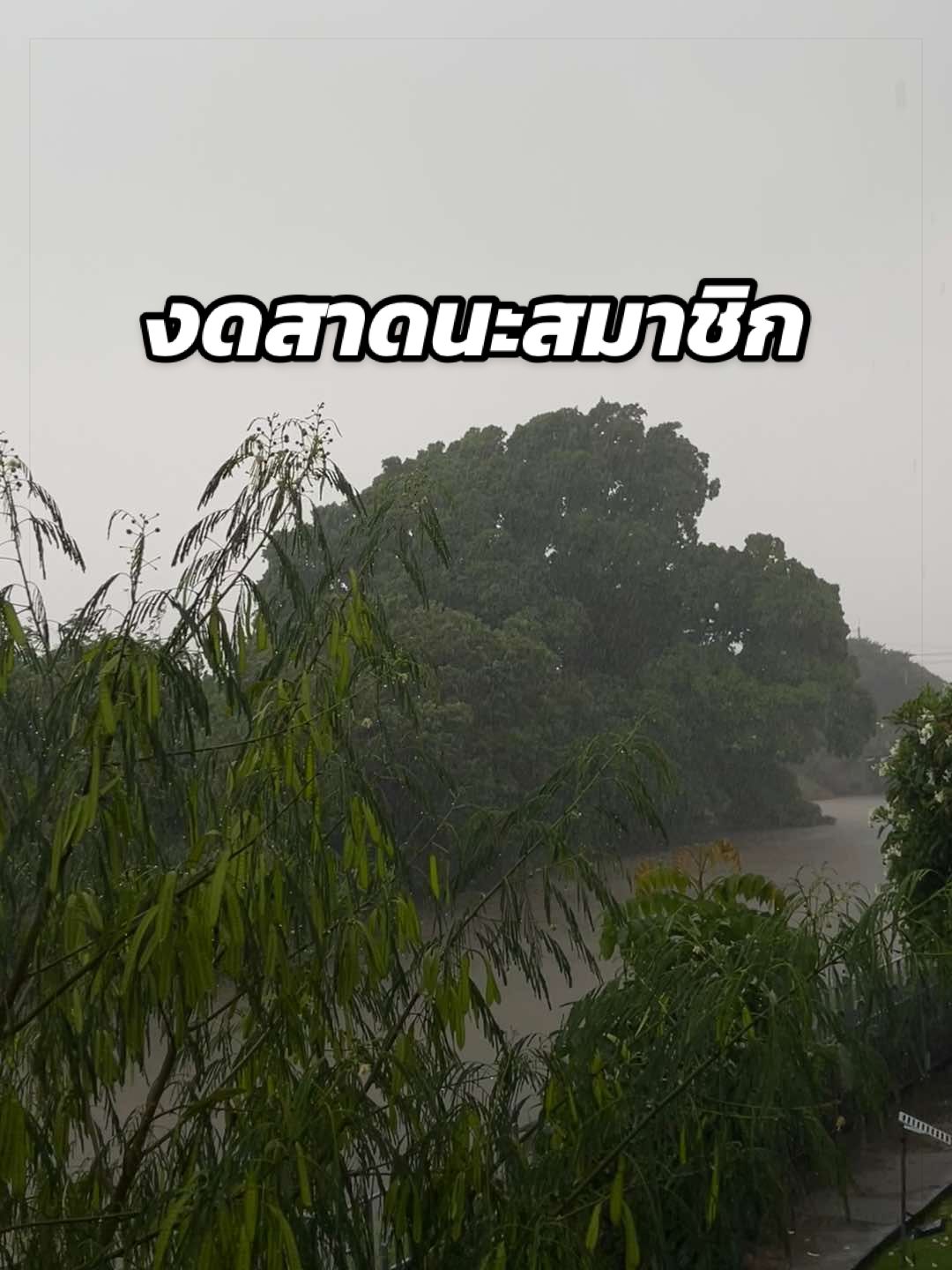 @พอแอนอ