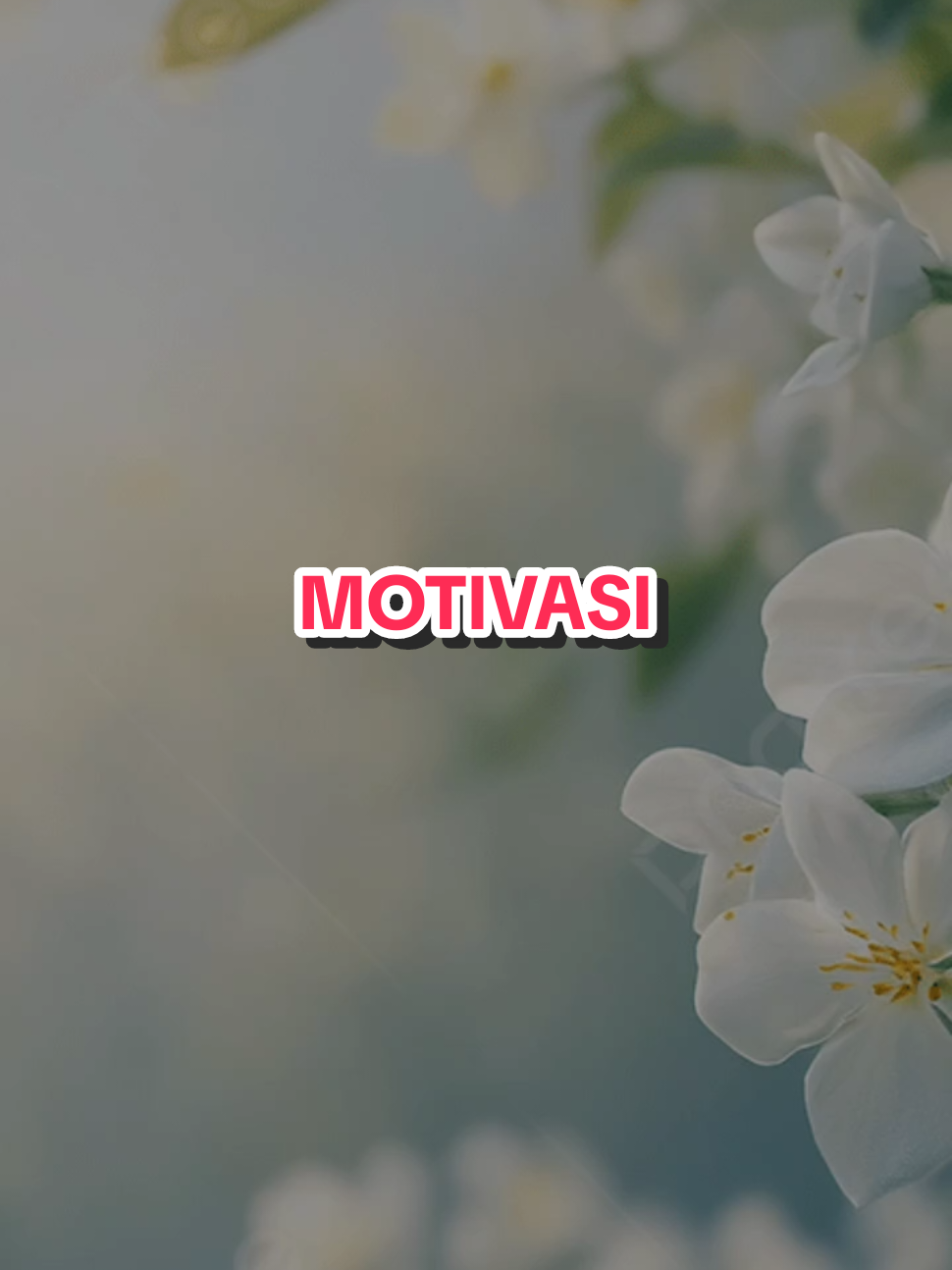 @mirazaidi
