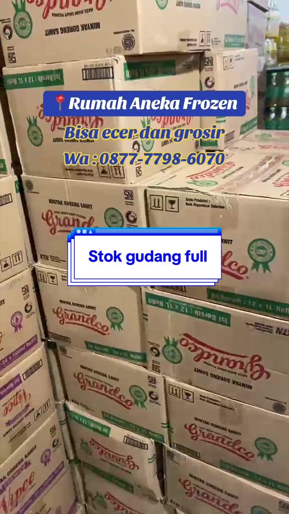 @Rumah Aneka Frozen