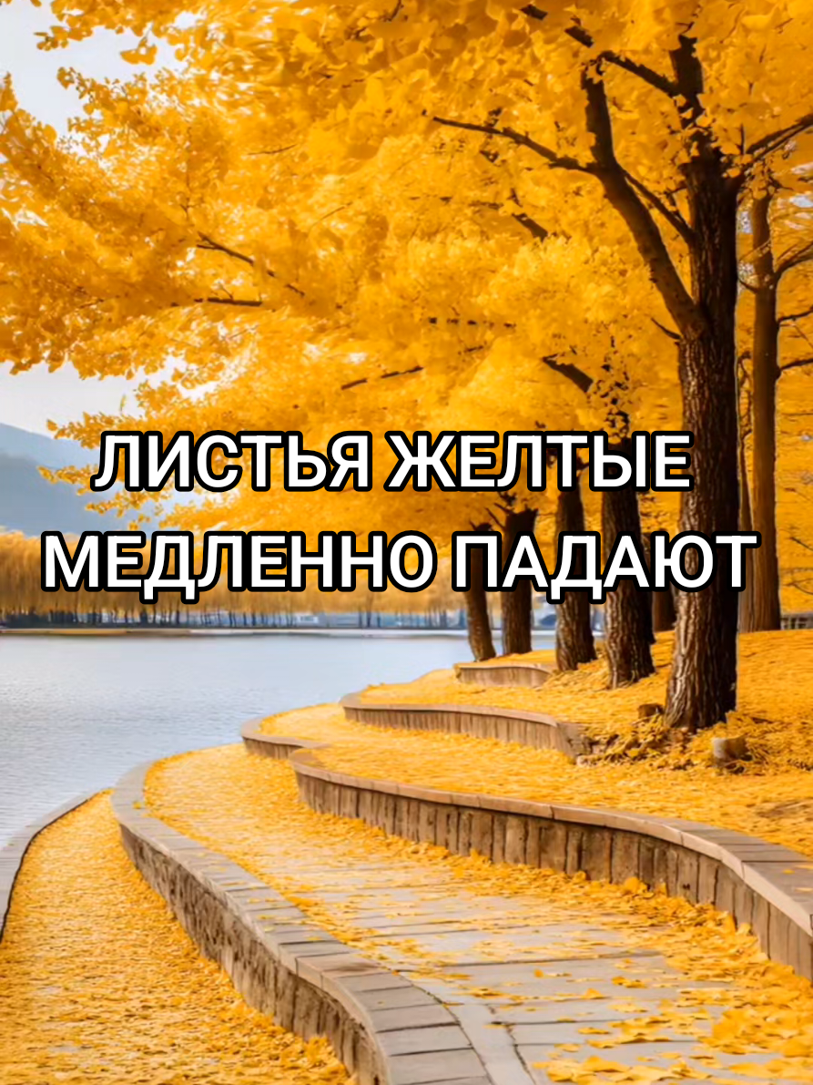 @💥МУДРАЯ ЖИЗНЬ