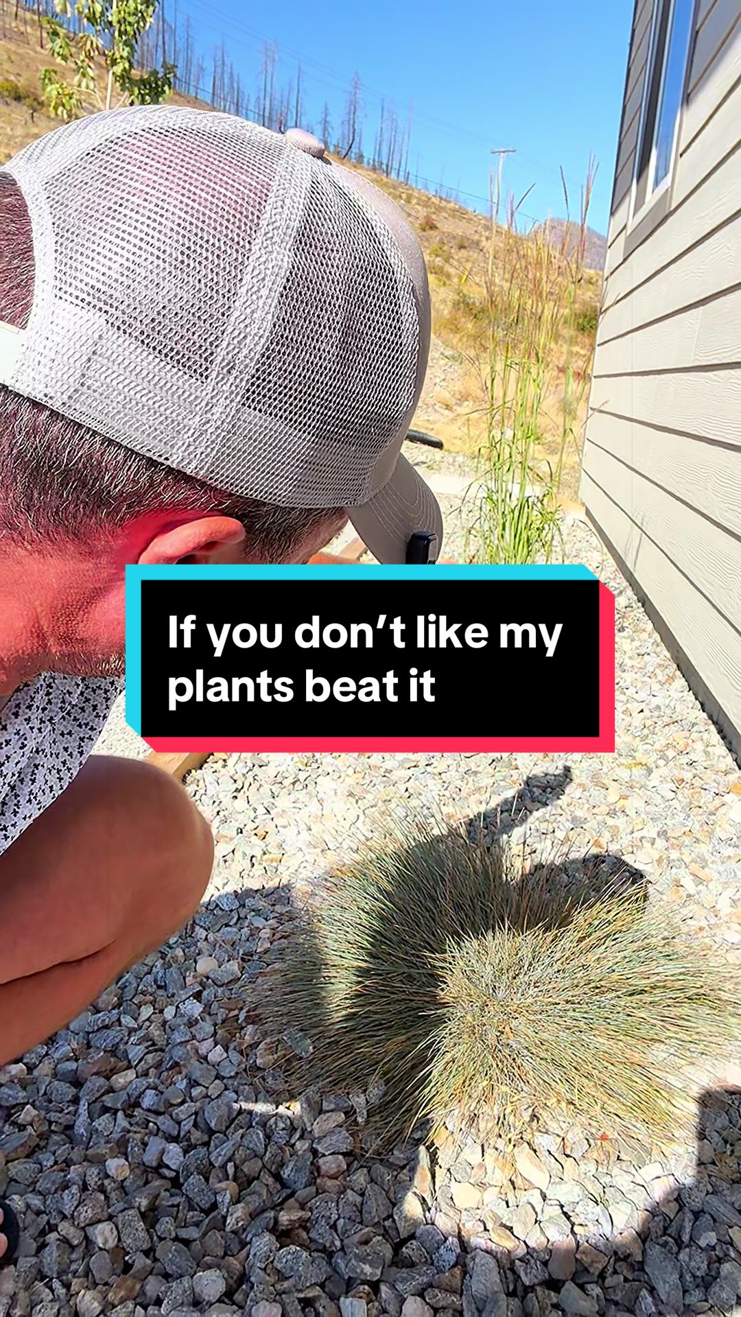 @hoganandcomedia