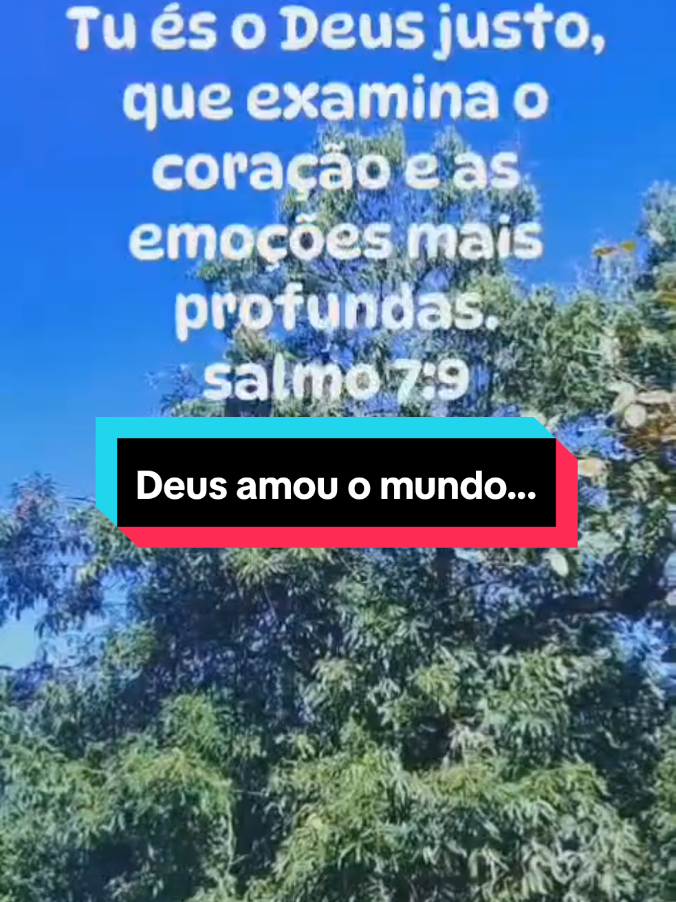 @Maria Paiva paiva