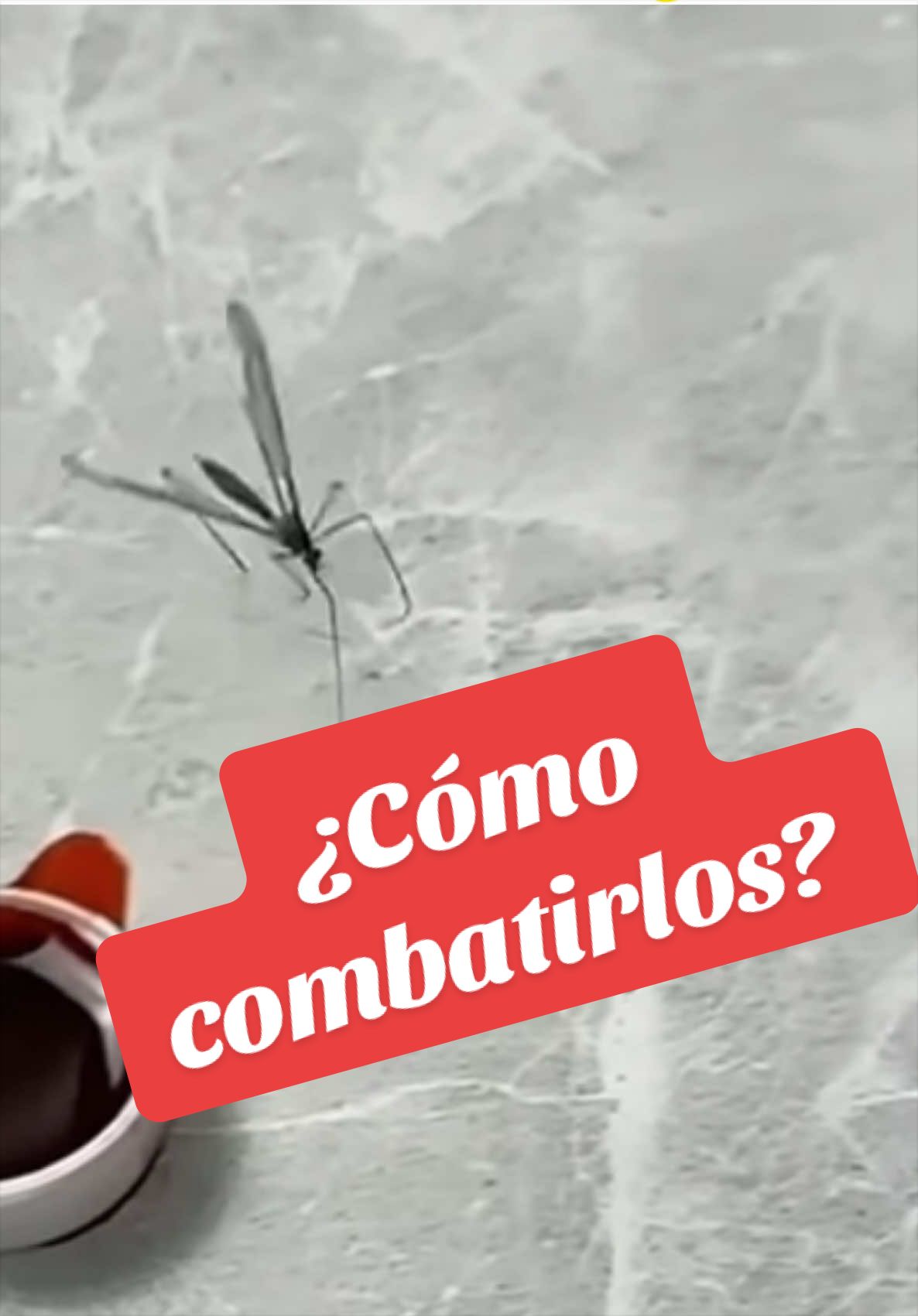 @Doctor Toxicus
