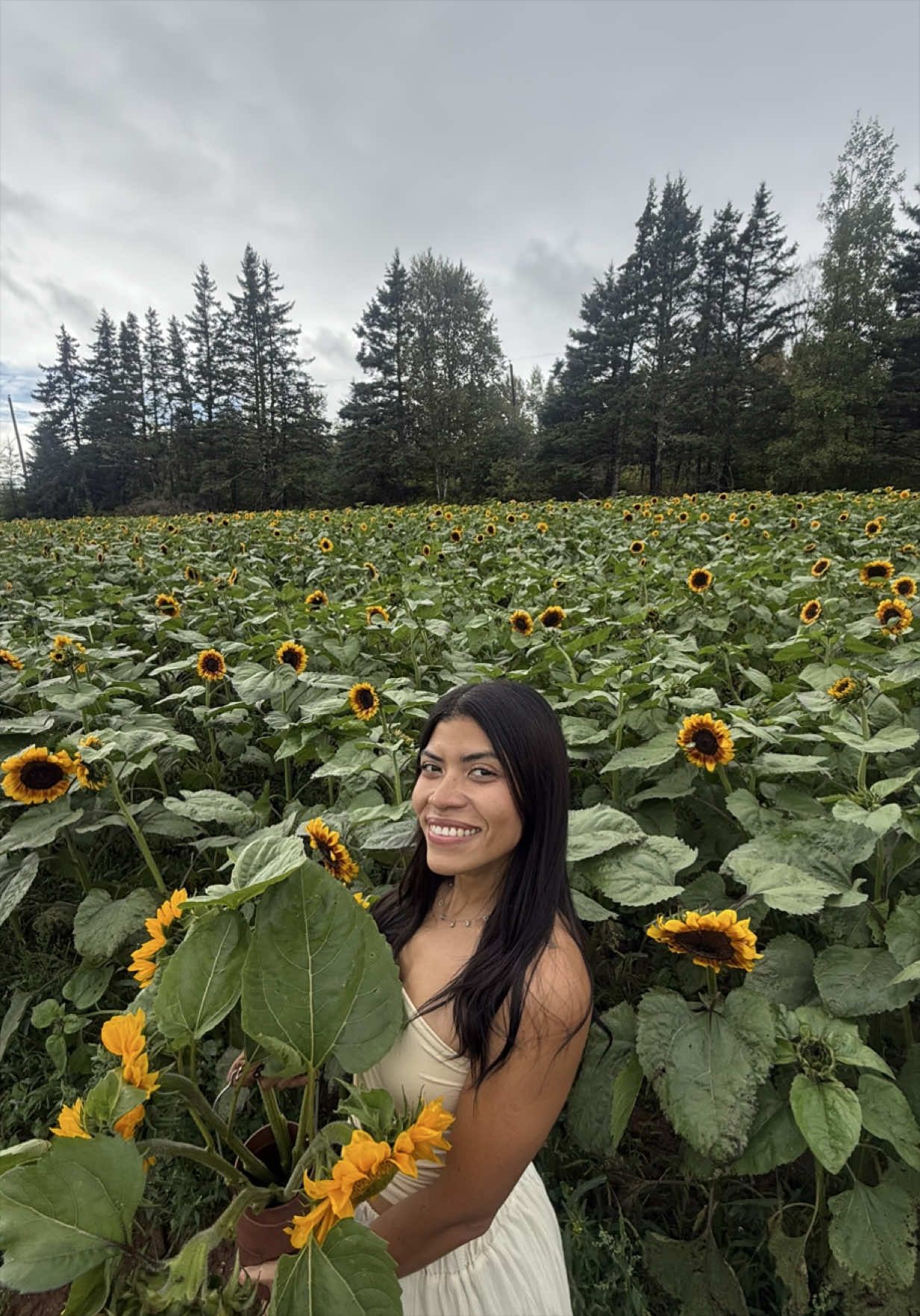 @Ivenshka Galvez 🌻