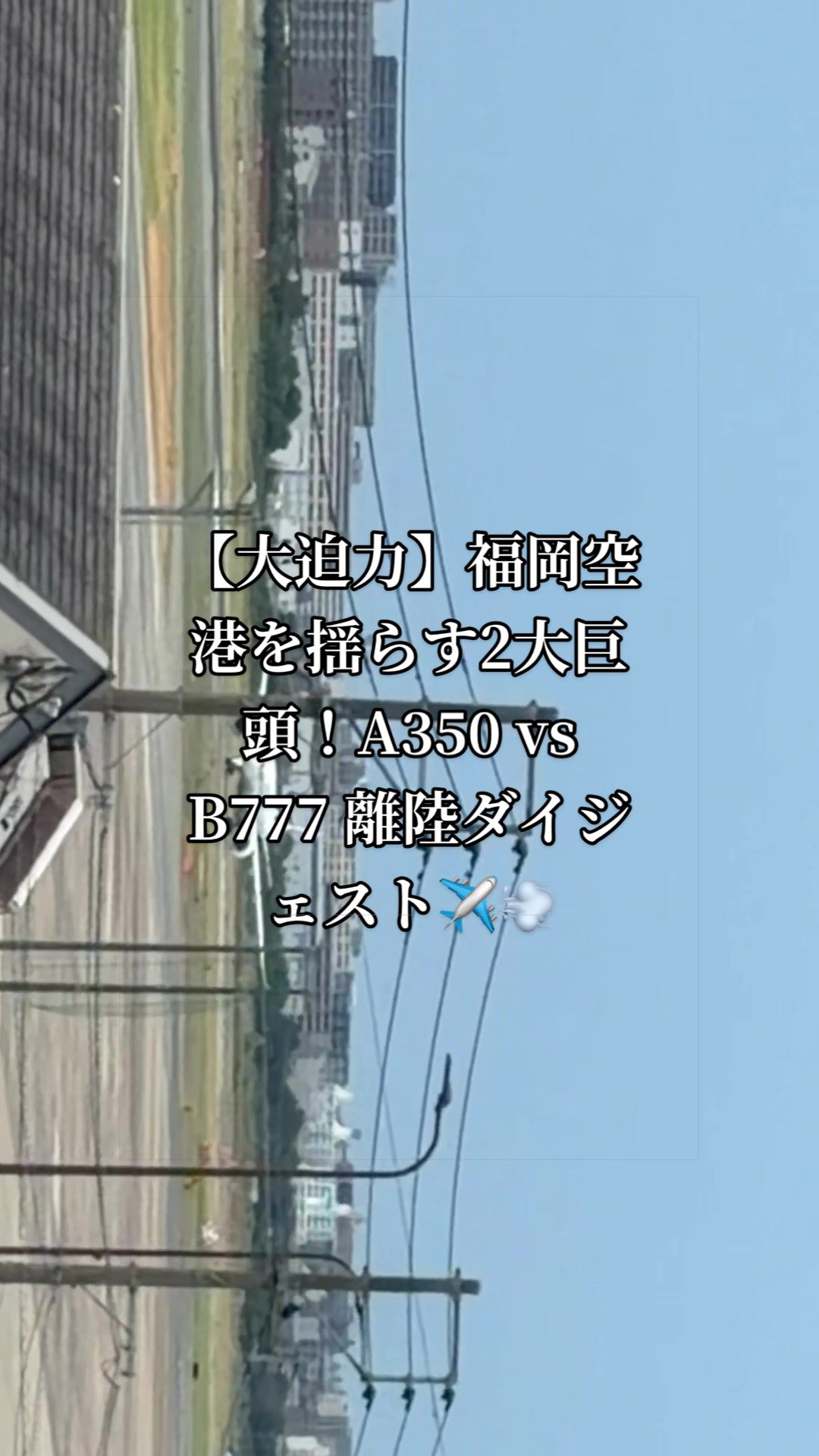 @✈️トト旦