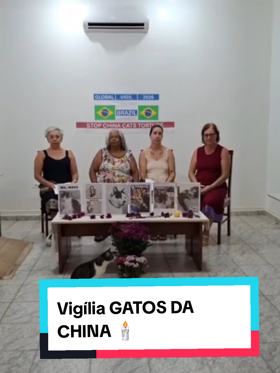 @macatsss
