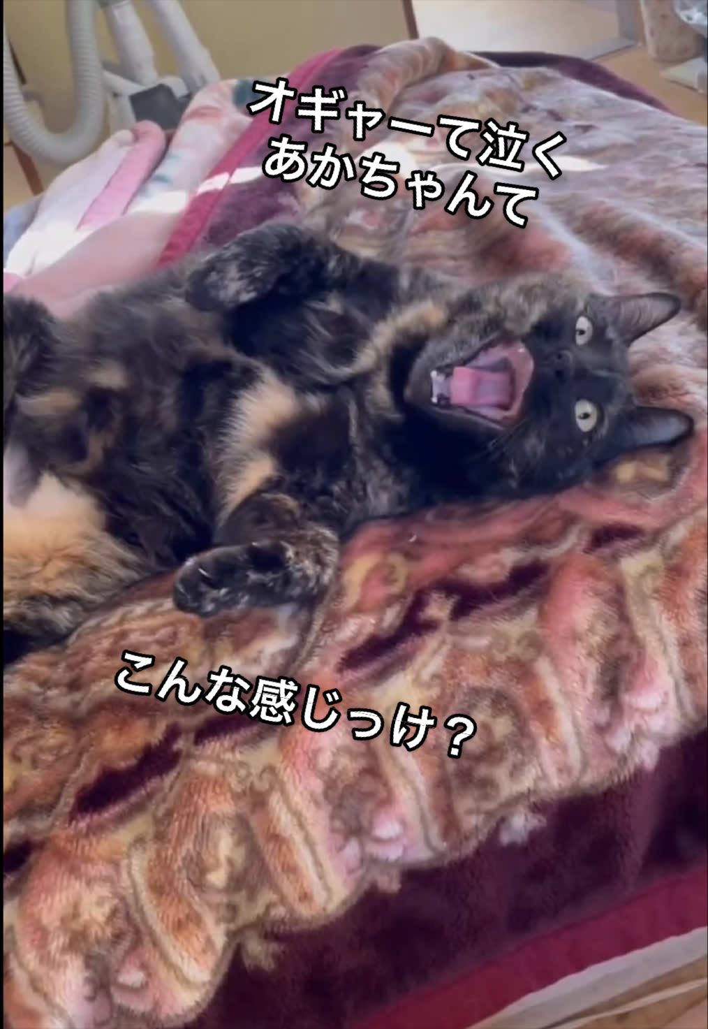 @聴々物語PROJECT