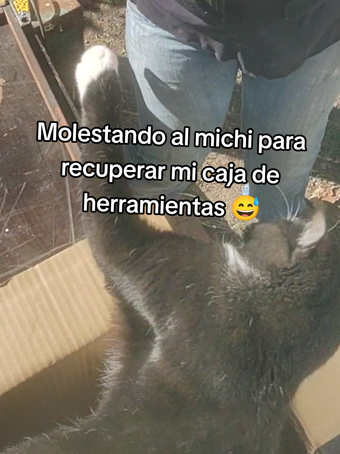 @Raven Reiss