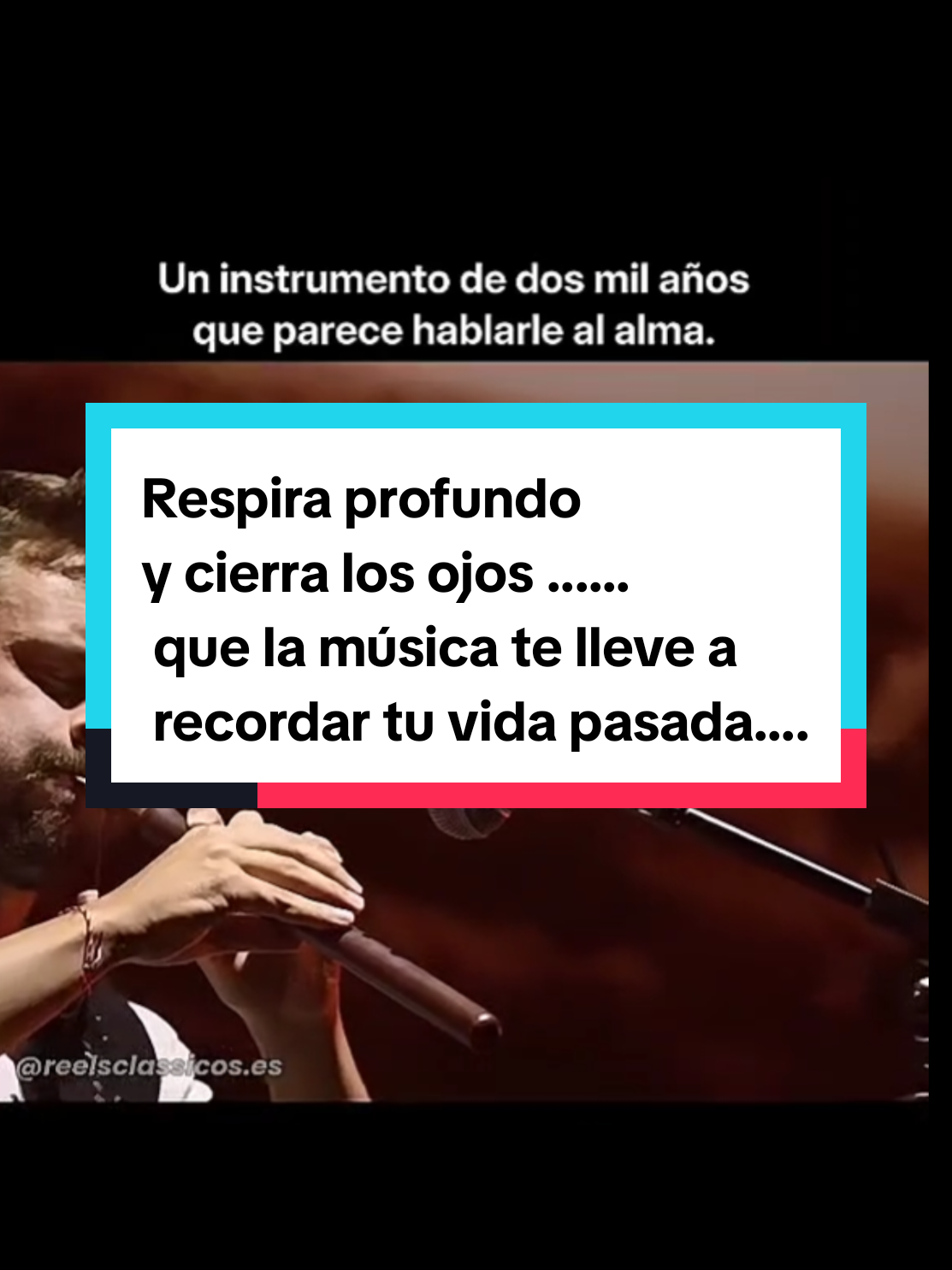 @🍀Melia_conciencia viva
