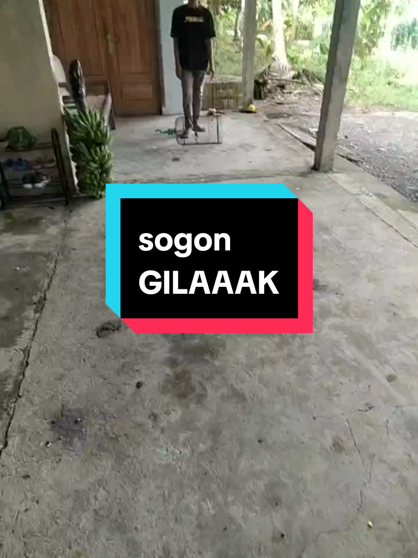 @dicky.awesome