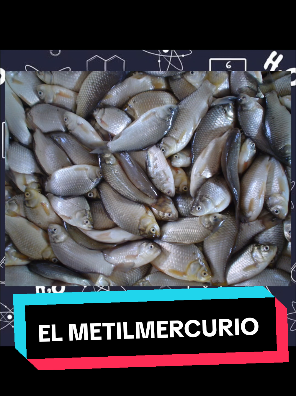 @SixxQuímica