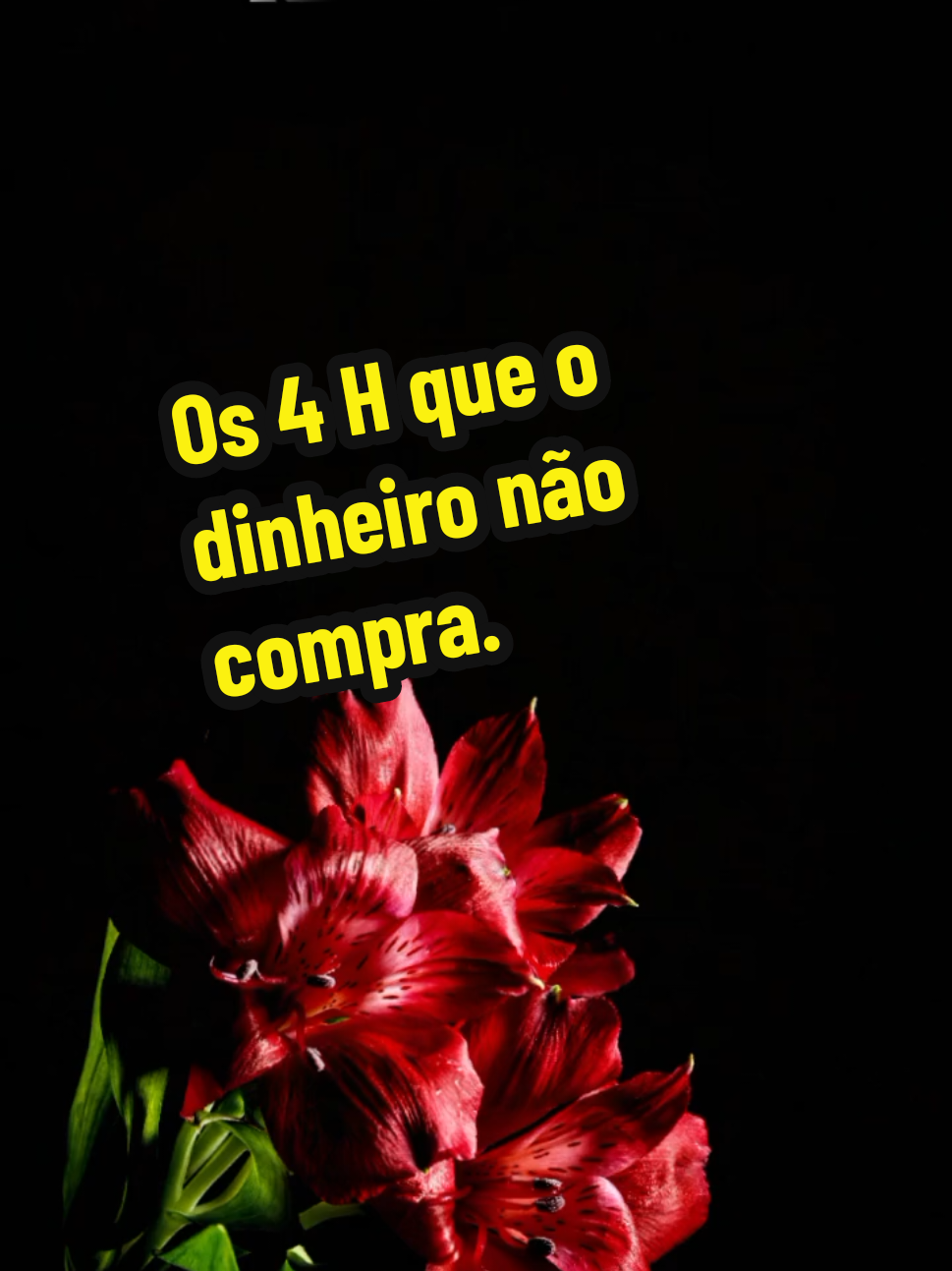 @Silvia Helena.