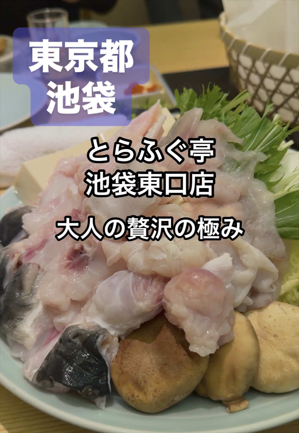 @善エイト(善トラベラー)