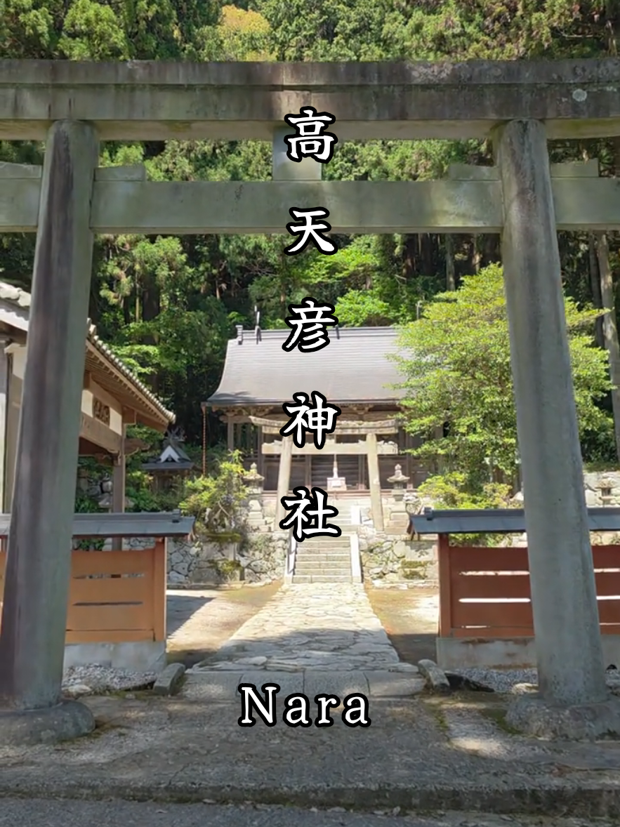 @星来⭐️セイ
