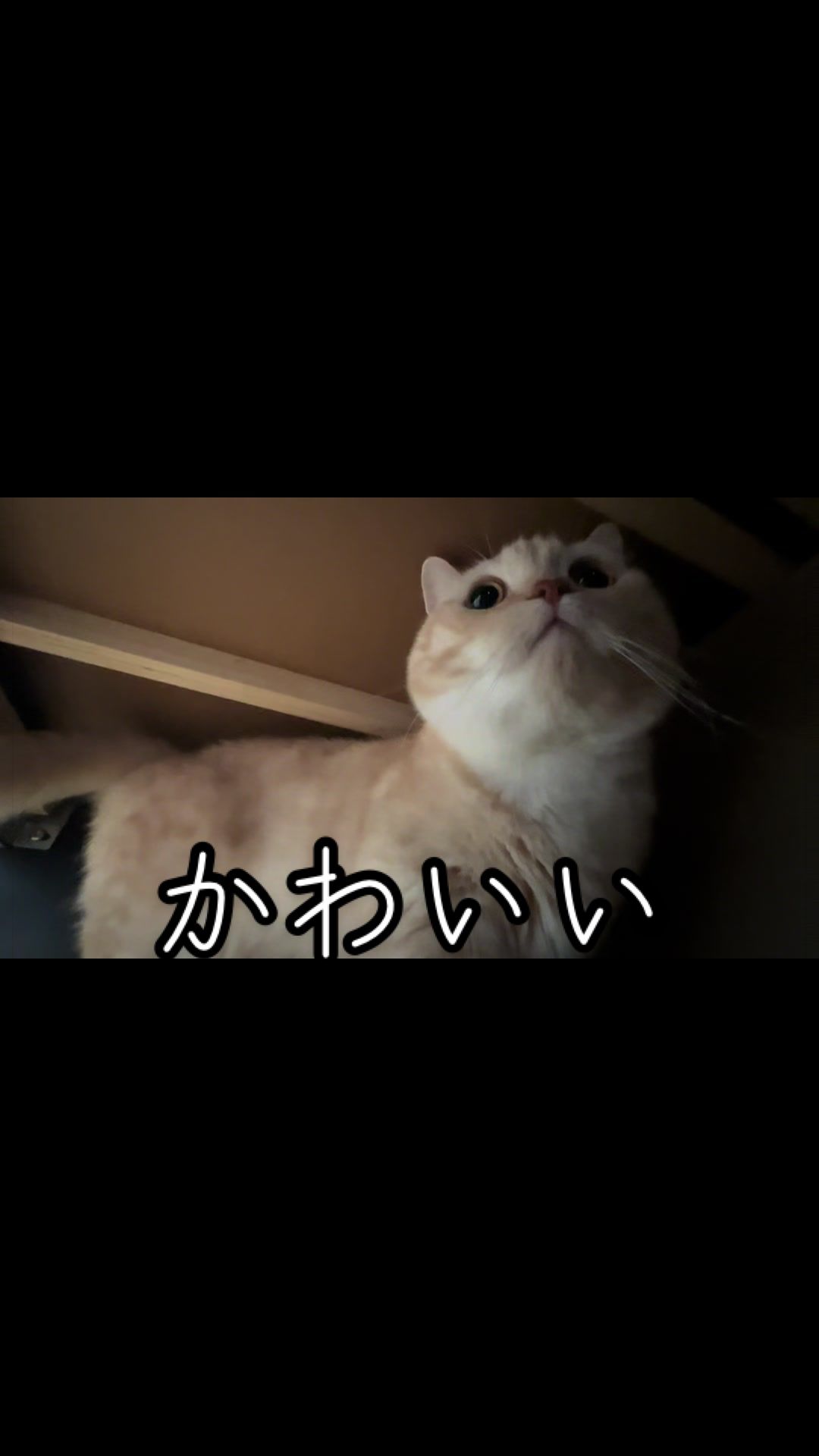 @縫くんと私