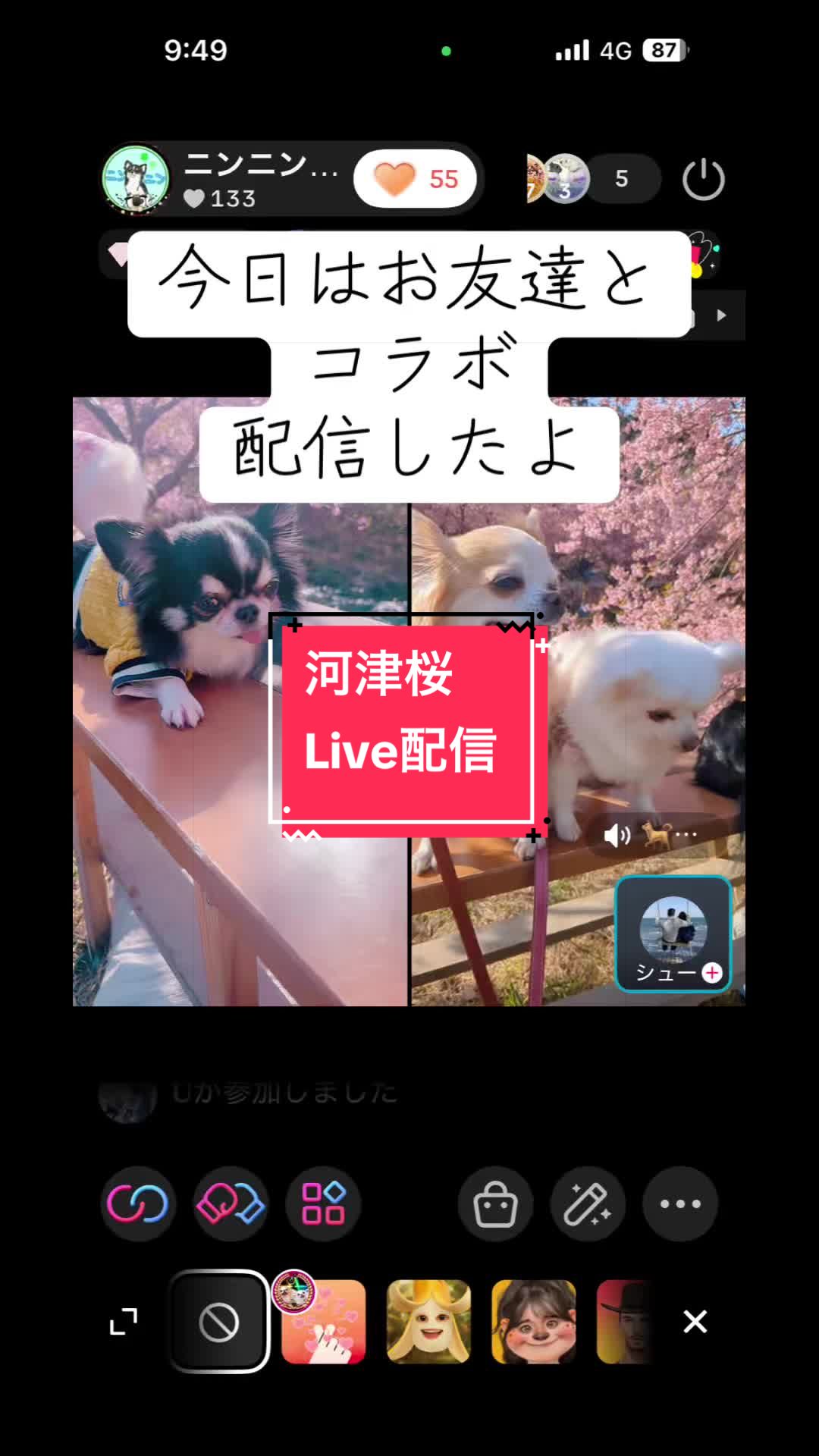 @ニンニン🐶🩵🍀