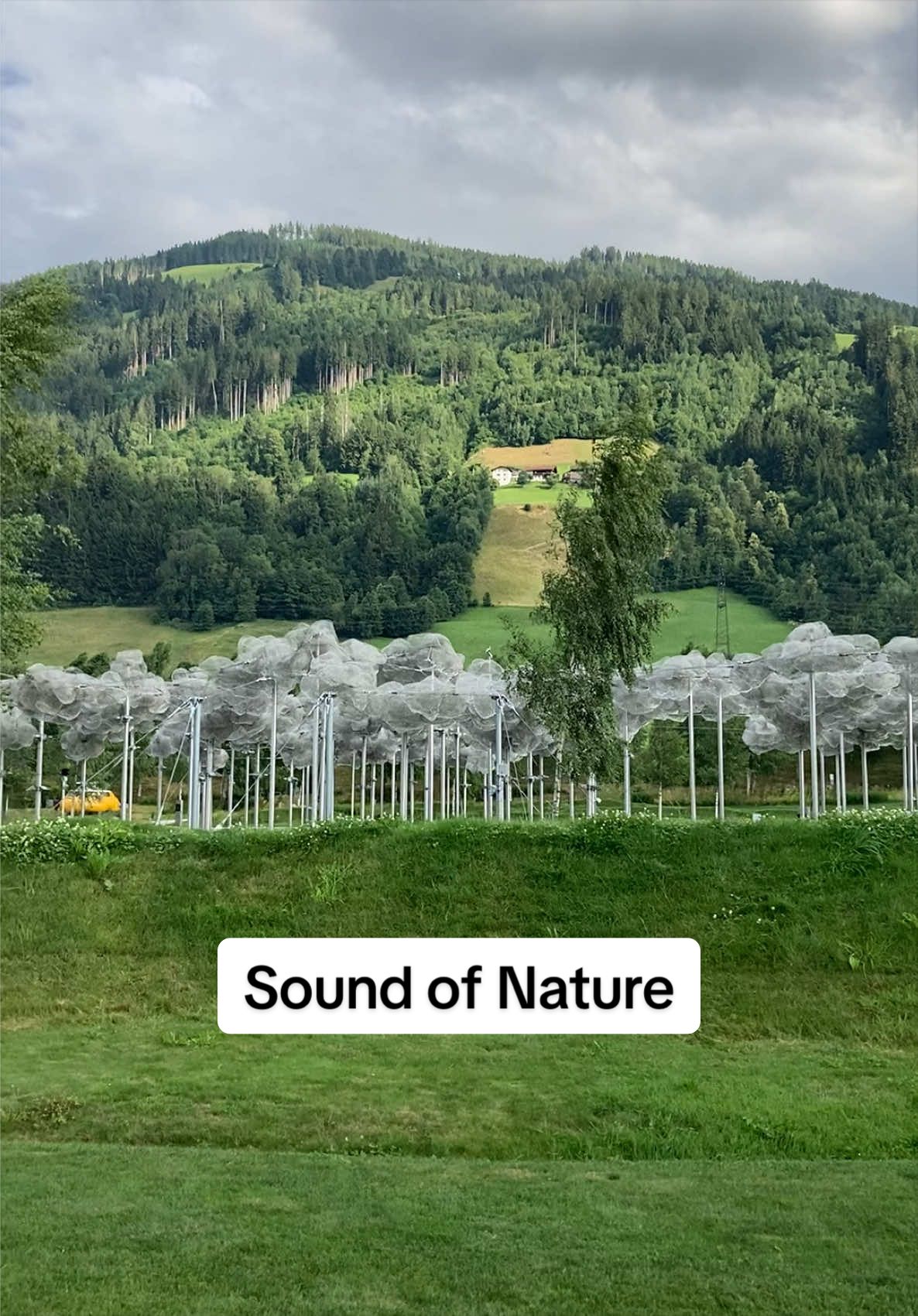 @Shinwari 🇩🇪