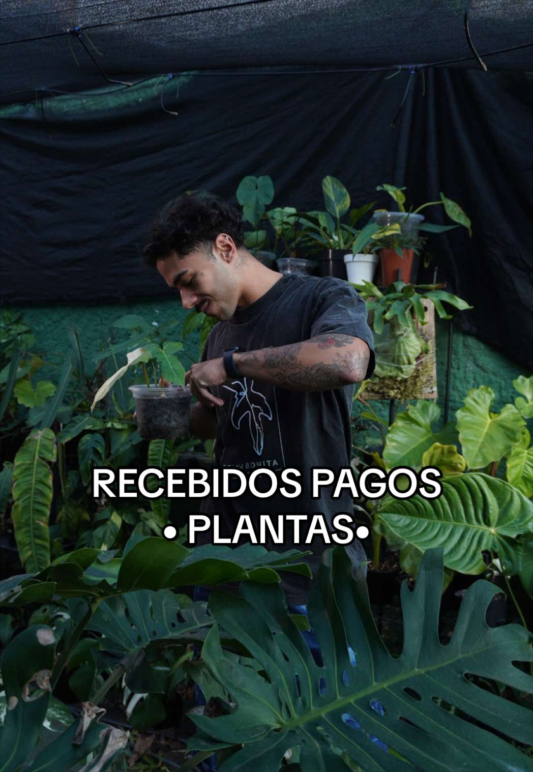@Otávio Pichirillo
