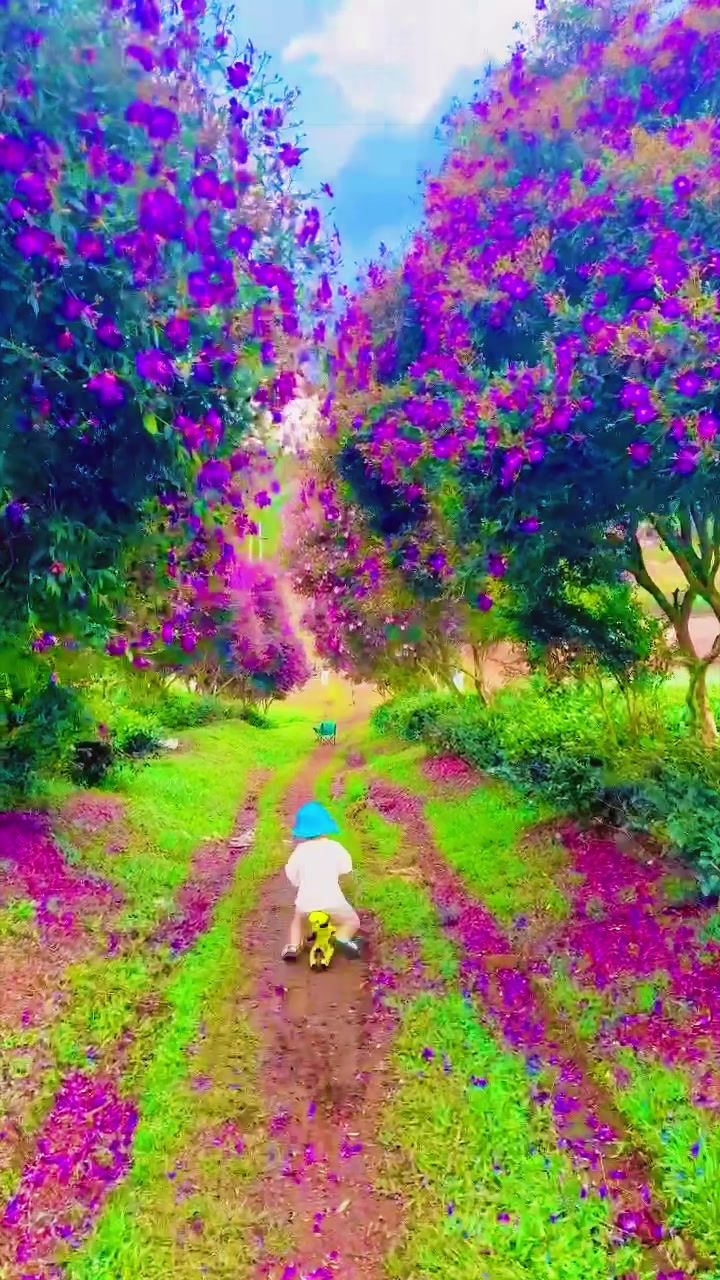 @N&ocirc;ng Trường olong Tằng Vĩnh An