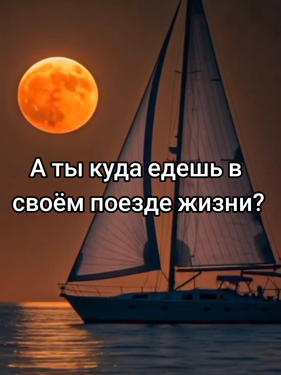@💥МУДРАЯ ЖИЗНЬ