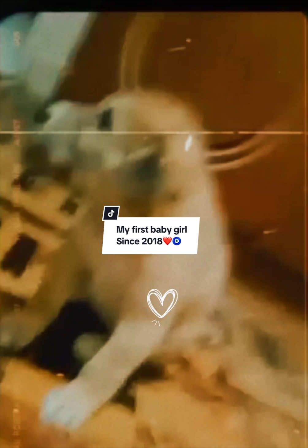 @hanyybala