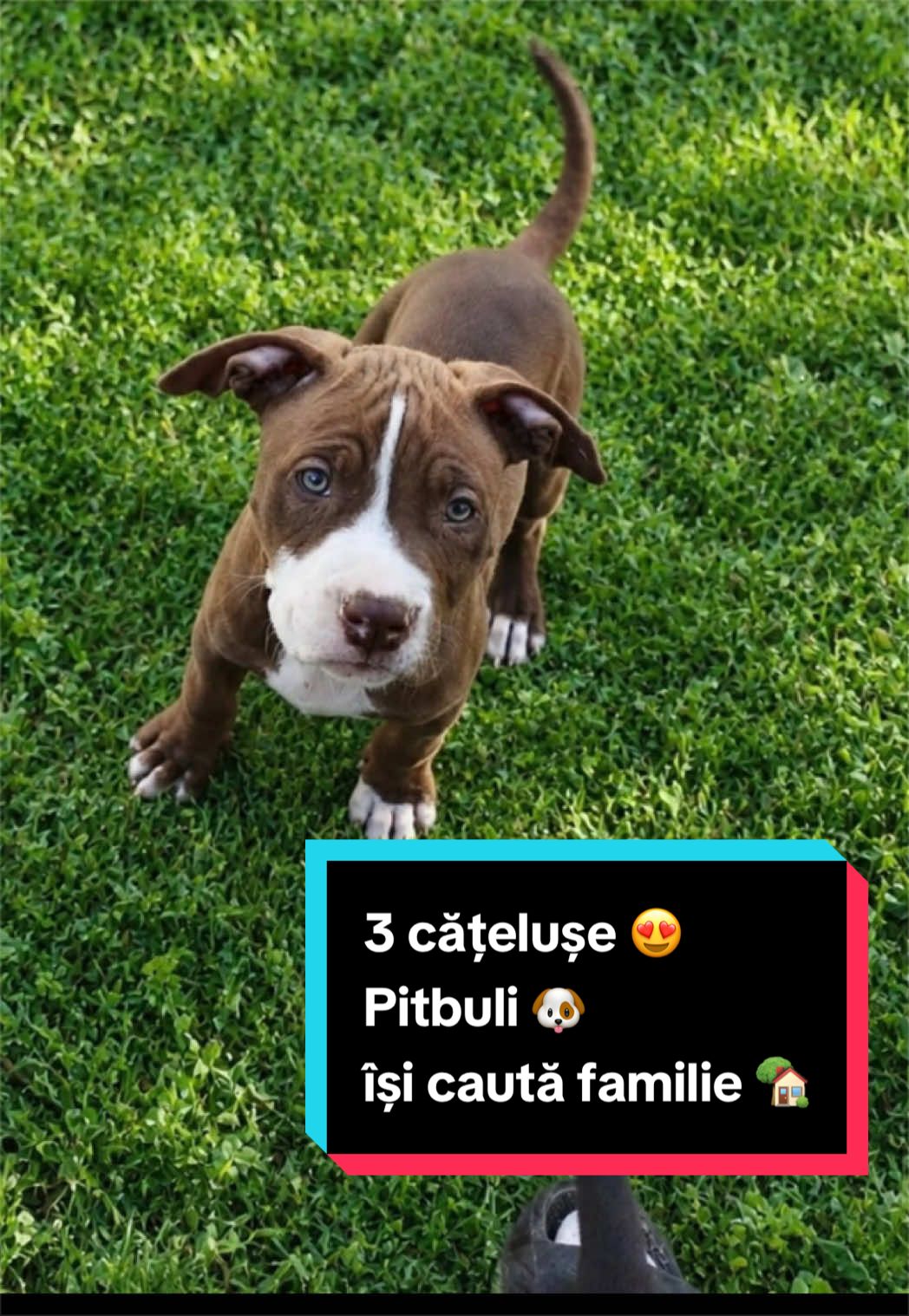 @Larisa🐾Taison