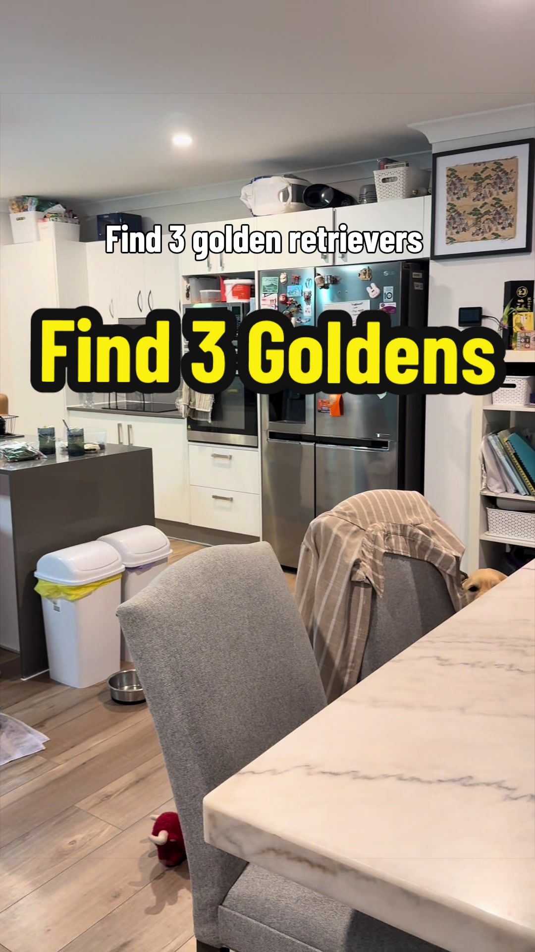 @3goldenretriever