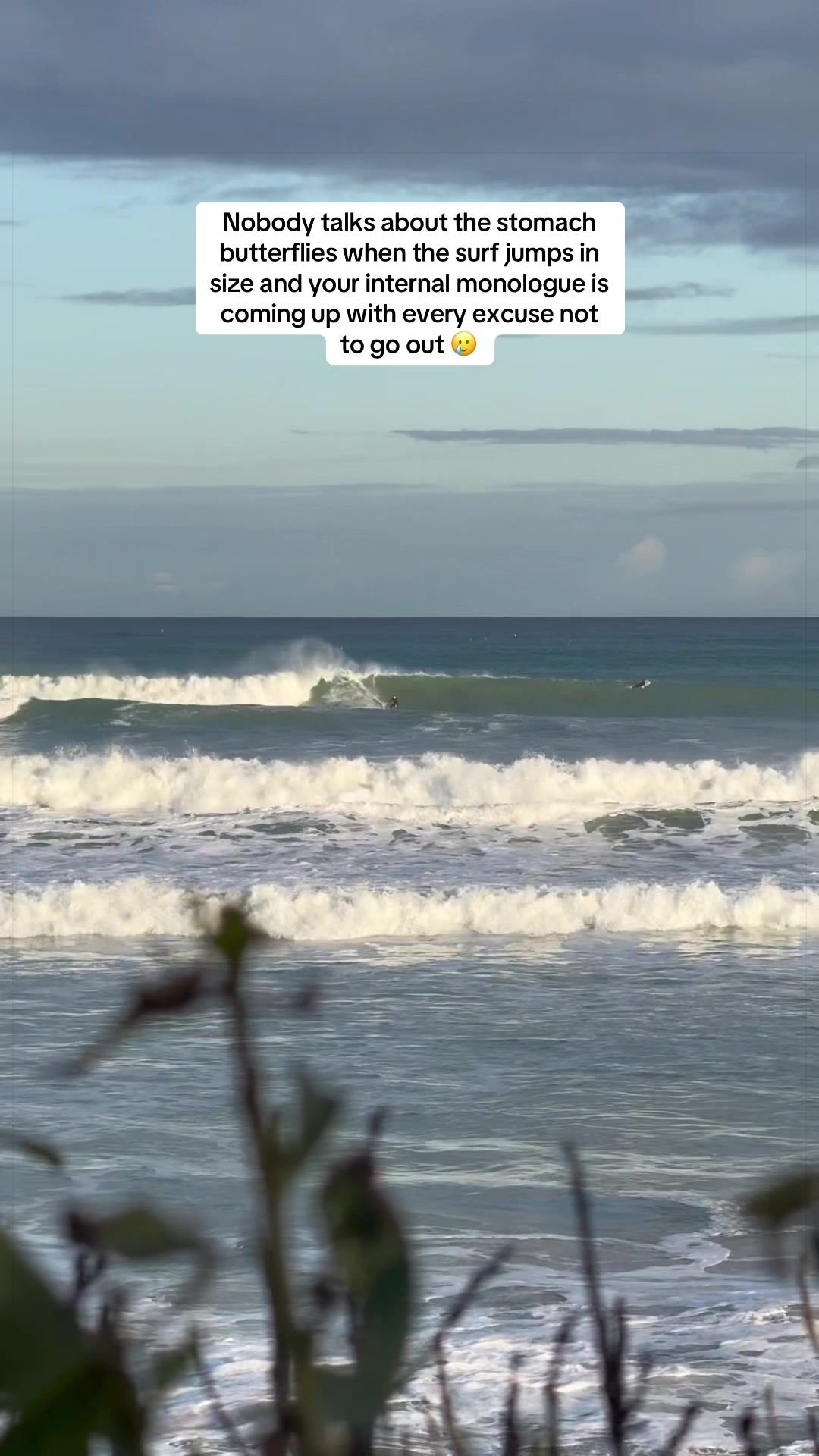 @Laura 🤙🏽 Froth Nugget