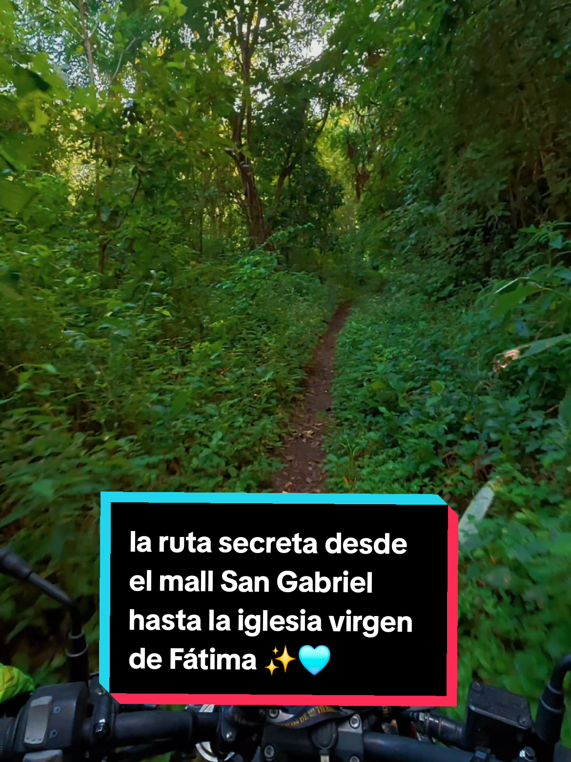 @CHIFRI🏍️🇸🇻🛵