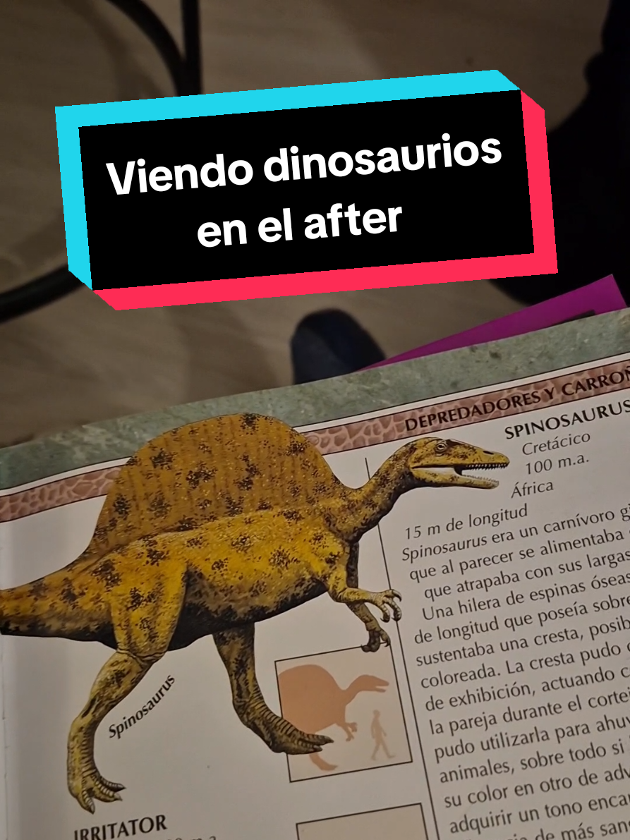 @Informando Toy