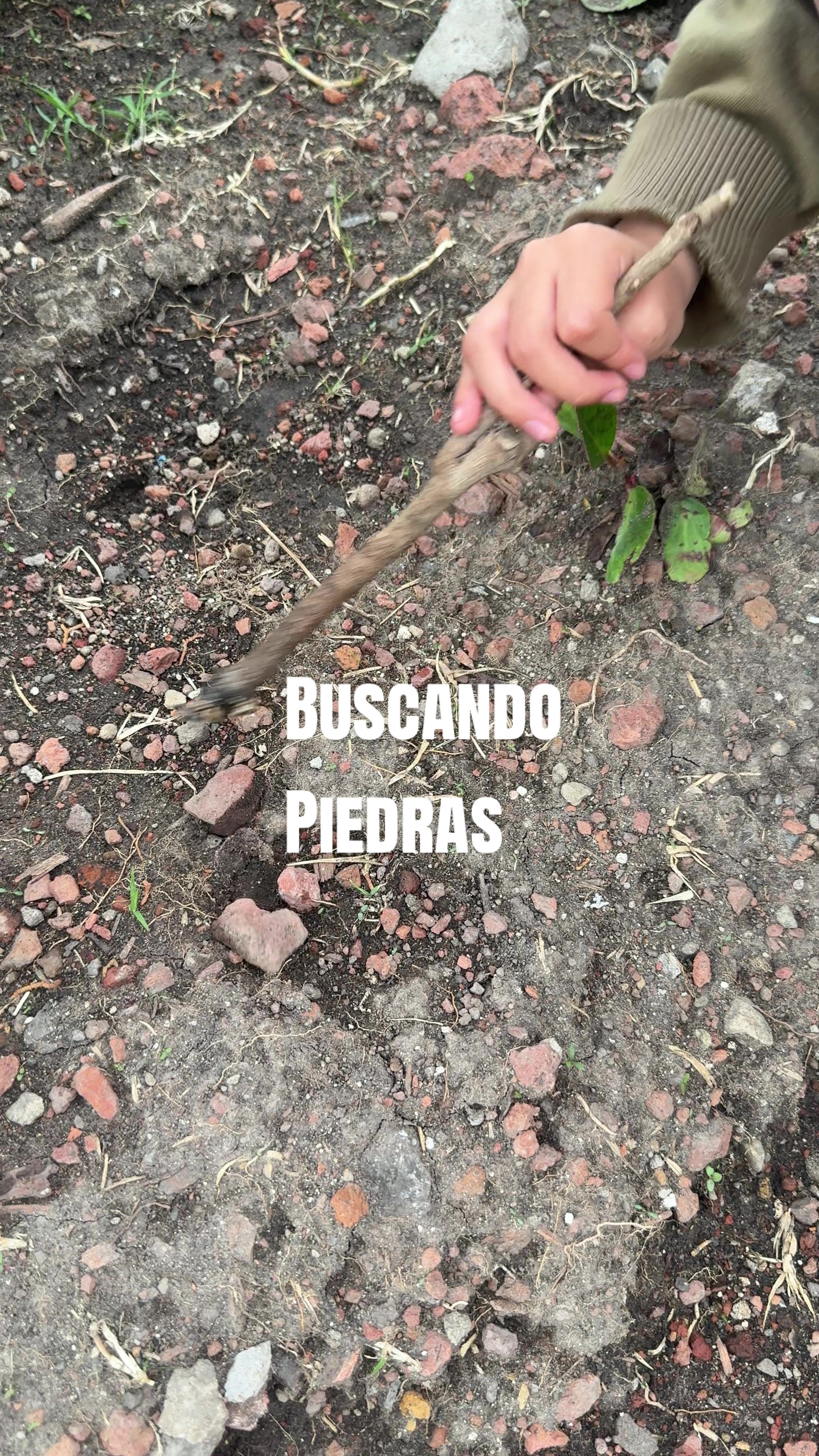 @Balam Andón | Locutor