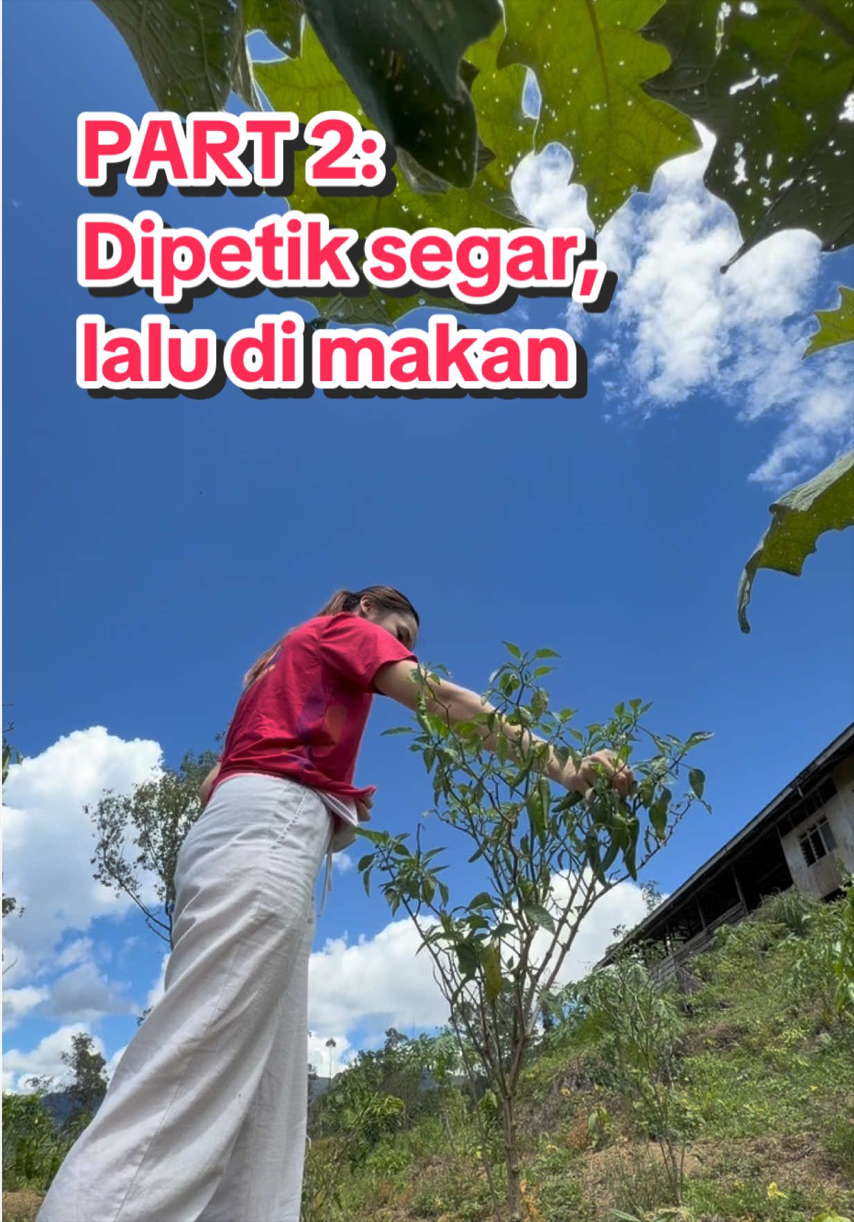 @QuueenJasmine🇲🇾