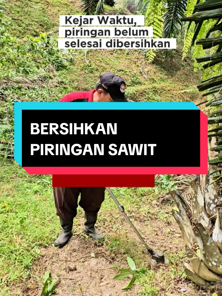 @Mr JARNAWI