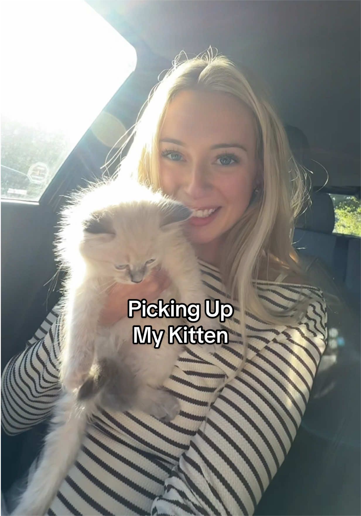 @lily dobson