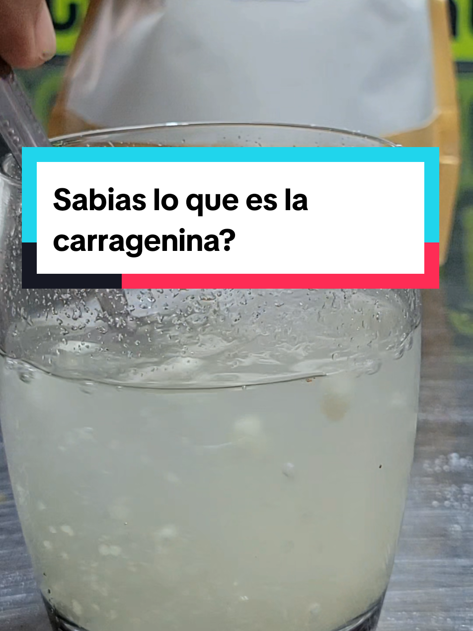 @MundoCharcutero