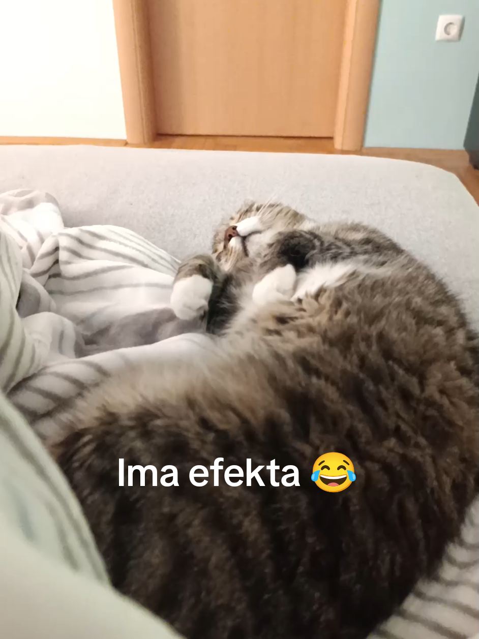 @mrgudmima