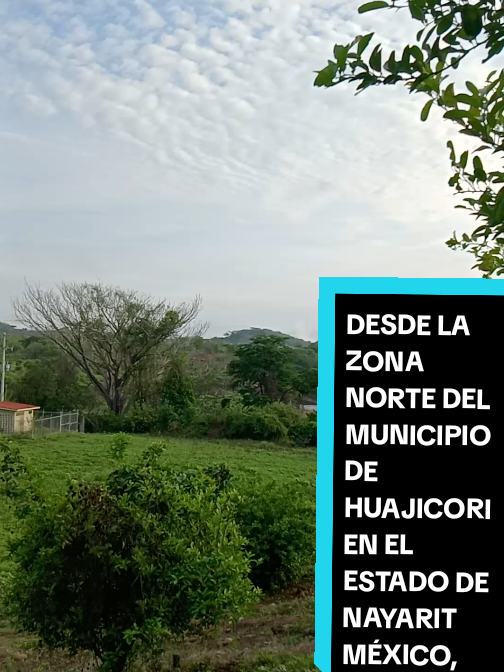 @Eliseo López