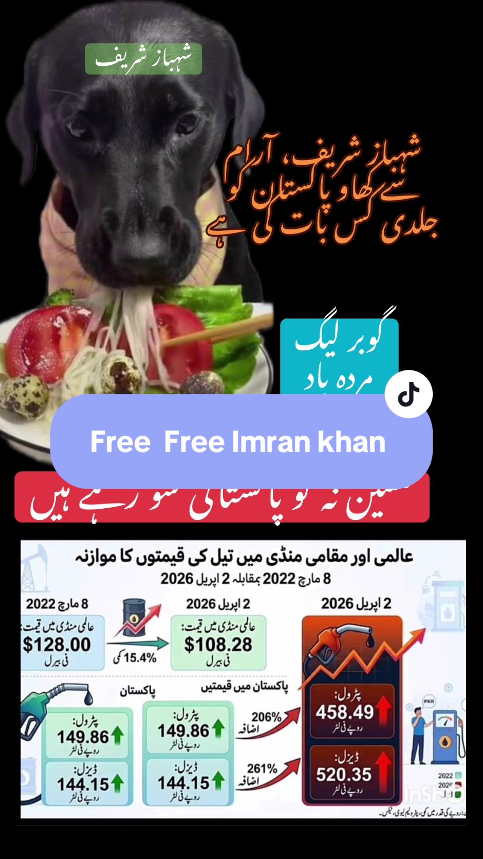@CM- Bai 🇳🇿🇵🇰
