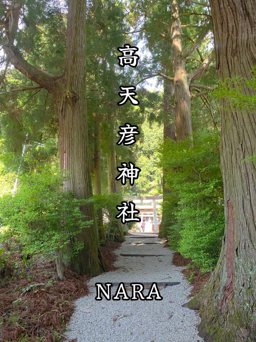 @星来⭐️セイ